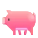 Pig Color