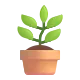 Potted Plant Color