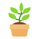 Potted Plant Flat