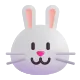 Rabbit Face Color
