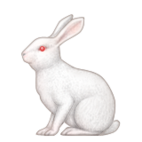 Apple Emoji iOS 9.1.