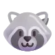 Raccoon Color