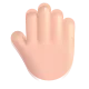 raised back of hand: light skin tone Color