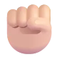raised fist: light skin tone Color