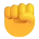 Raised Fist Color