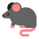 Rat Flat