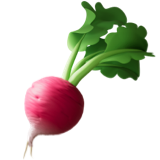 Root Vegetable