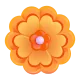 Rosette Color