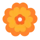 Rosette Flat