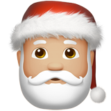 Apple Emoji iOS 14.2.