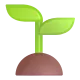 Seedling Color