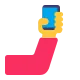Selfie Flat