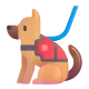 Service Dog Color