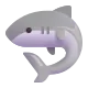 Shark Color