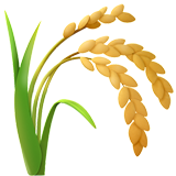 Ear of Rice
