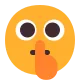 Face with Finger Covering Closed Lips Flat