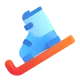 Ski and Ski Boot Color