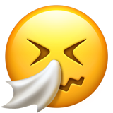Apple Emoji iOS 16.4.