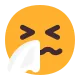 Sneezing Face Flat