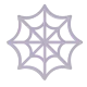 Spider Web Color