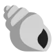 Spiral Shell Flat