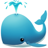 Spouting Whale