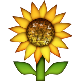 Apple Emoji iOS 5.1.