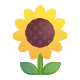 Sunflower Color