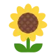 Sunflower Flat