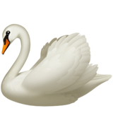 Apple Emoji iOS 14.5.