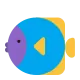 Tropical Fish Flat