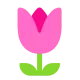 Tulip Flat