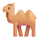 Bactrian Camel Color