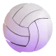 Volleyball Color
