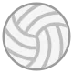 Volleyball Flat