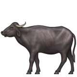 Apple Emoji iOS 5.1.