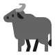 Water Buffalo Flat