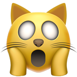 Weary Cat Face