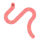 Worm Flat