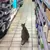 mcp-soccer-data logo